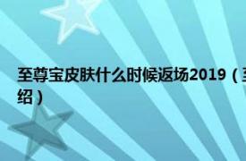 至尊宝皮肤什么时候返场2019（至尊宝皮肤什么时候返场相关内容简介介绍）