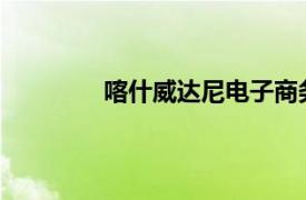 喀什威达尼电子商务有限公司CEO刘京闻