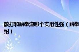 散打和跆拳道哪个实用性强（跆拳道和散打哪个实战能力强相关内容简介介绍）