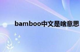 bamboo中文是啥意思（bamboo是什么意思？）