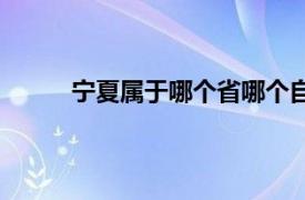 宁夏属于哪个省哪个自治区（宁夏属于哪个省）