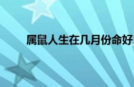 属鼠人生在几月份命好（属鼠人生于几月命最好）