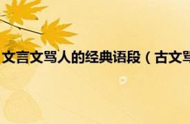 文言文骂人的经典语段（古文骂人的经典语录相关内容简介介绍）