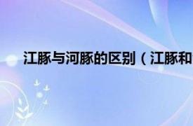 江豚与河豚的区别（江豚和海豚的区别相关内容简介介绍）