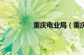 重庆电业局（重庆网电售电有限公司）