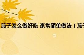 茄子怎么做好吃 家常简单做法（茄子怎么做好吃又简单相关内容简介介绍）