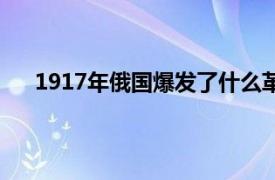 1917年俄国爆发了什么革命震动了全世界（1917年）