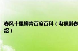 春风十里柳青百度百科（电视剧春风十里中柳青扮演者是谁相关内容简介介绍）