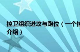 控卫组织进攻与跑位（一个控球后卫如何正确跑位相关内容简介介绍）