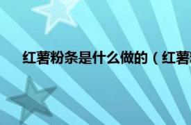 红薯粉条是什么做的（红薯粉条怎么做相关内容简介介绍）