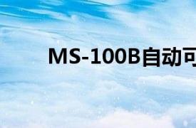 MS-100B自动可变比率组合测试仪