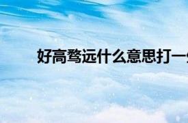 好高骛远什么意思打一生肖（好高骛远什么意思）