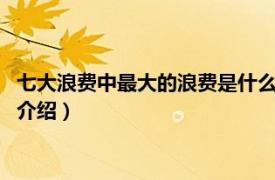 七大浪费中最大的浪费是什么浪费（7大浪费是什么相关内容简介介绍）