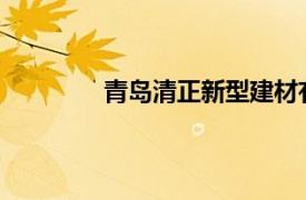 青岛清正新型建材有限公司董事长孙永清