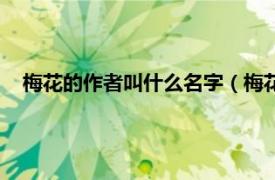 梅花的作者叫什么名字（梅花的作者是谁相关内容简介介绍）