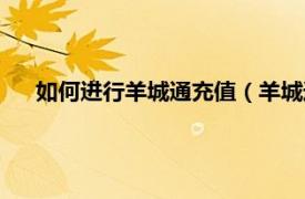 如何进行羊城通充值（羊城通怎么充值相关内容简介介绍）