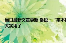 当日最新文章更新 俗语：“菜不摆三筷不成五席不成六”原来是这个意思太实用了