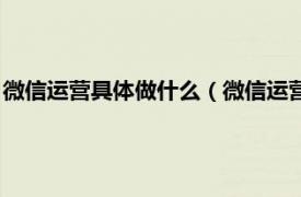 微信运营具体做什么（微信运营的内容有哪些相关内容简介介绍）