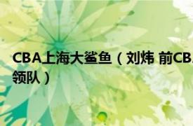 CBA上海大鲨鱼（刘炜 前CBA球员、上海大鲨鱼篮球俱乐部球队领队）