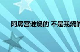 阿房宫谁烧的 不是我烧的 哪个大学（阿房宫谁烧的）