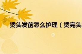 烫头发前怎么护理（烫完头发怎么护理相关内容简介介绍）