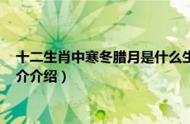 十二生肖中寒冬腊月是什么生肖（寒冬腊月哪几个肖相关内容简介介绍）