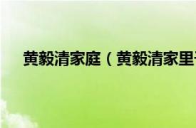 黄毅清家庭（黄毅清家里干什么的相关内容简介介绍）