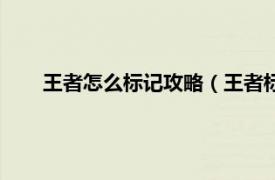 王者怎么标记攻略（王者标记怎么拿相关内容简介介绍）