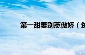 第一甜妻别惹傲娇（贫嘴小娇妻：首席别惹我）