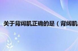 关于背阔肌正确的是（背阔肌的作用是什么相关内容简介介绍）