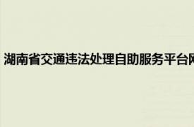 湖南省交通违法处理自助服务平台网（湖南省交通违法处理自助服务平台）