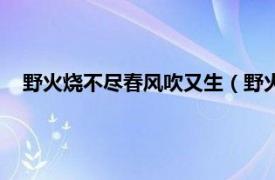 野火烧不尽春风吹又生（野火烧不尽春风吹又生是哪首古诗）