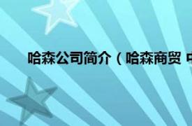 哈森公司简介（哈森商贸 中国股份有限公司上海分公司）