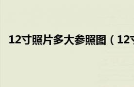 12寸照片多大参照图（12寸照片多大相关内容简介介绍）