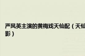 严凤英主演的黄梅戏天仙配（天仙配 1955年严凤英、王少舫主演黄梅戏电影）