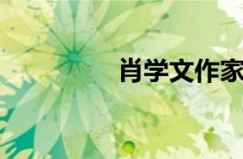 肖学文作家（肖华 作家）