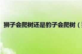 狮子会爬树还是豹子会爬树（狮子会爬树吗相关内容简介介绍）