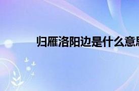 归雁洛阳边是什么意思表达了诗人怎样的情感