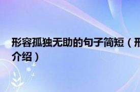 形容孤独无助的句子简短（形容孤独无人懂的短句相关内容简介介绍）