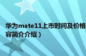 华为mate11上市时间及价格（华为mate11什么时候出来相关内容简介介绍）