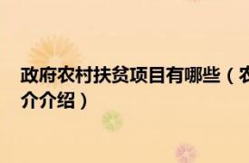 政府农村扶贫项目有哪些（农村扶贫项目主要有哪些相关内容简介介绍）