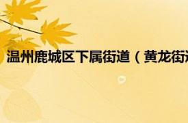 温州鹿城区下属街道（黄龙街道 浙江省温州市鹿城区下辖街道）