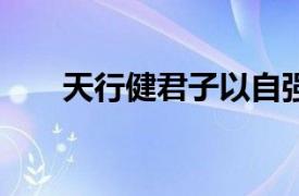 天行健君子以自强不息是什么意思10