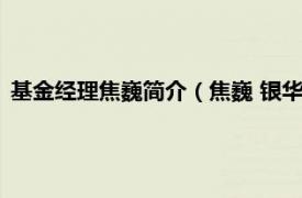 基金经理焦巍简介（焦巍 银华基金管理股份有限公司基金经理）