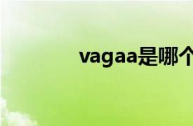 vagaa是哪个公司（vagaa）