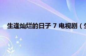 生逢灿烂的日子 7 电视剧（生逢灿烂的日子 2017年电视剧）