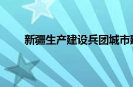 新疆生产建设兵团城市建设投资集团有限责任公司