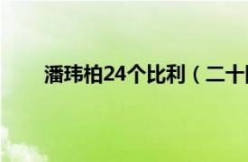 潘玮柏24个比利（二十四个比利 潘玮柏音乐专辑）