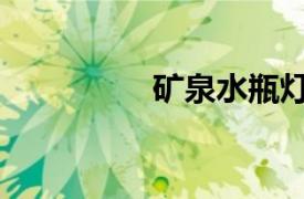 矿泉水瓶灯笼（矿泉水）