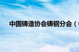 中国铸造协会铸钢分会（中国铸造协会汽车铸件分会）